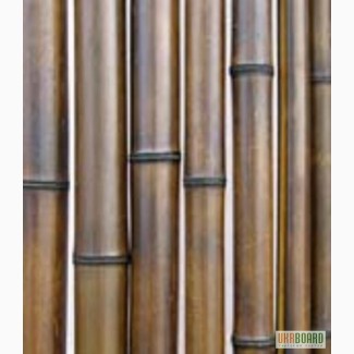 Бамбуковый ствол, обои, изделия, Киев