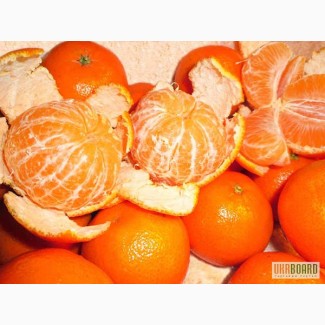 Цитрусовые оптом (мандарин, апельсин)