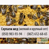 Скупка меда (покупаем мед) крупным и мелким оптом в Донецке