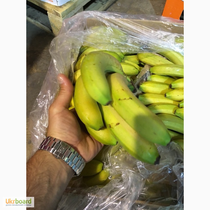 Фото 3. Продаем бананы из Испании