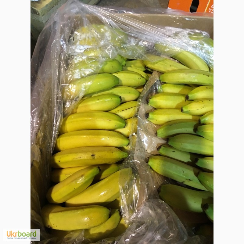 Фото 5. Продаем бананы из Испании