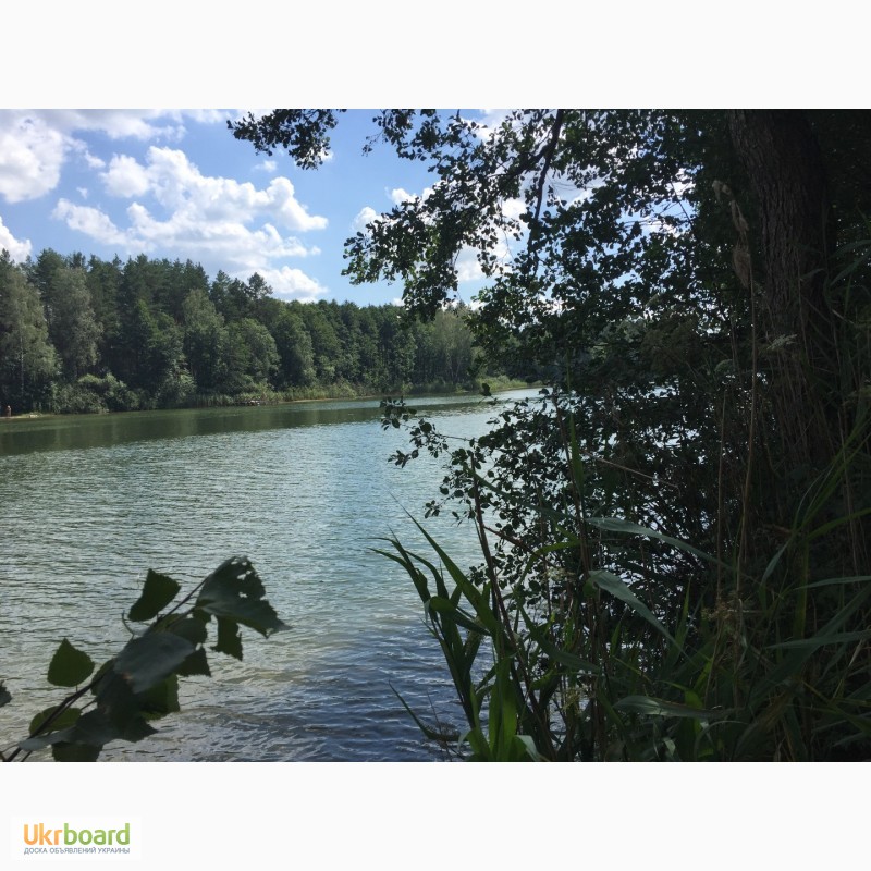 Фото 4. Продаю лесные участки на берегу озера в литовском курорте Друскининкай + ЗАО для ВНЖ в ЕС