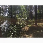 Продаю лесные участки на берегу озера в литовском курорте Друскининкай + ЗАО для ВНЖ в ЕС