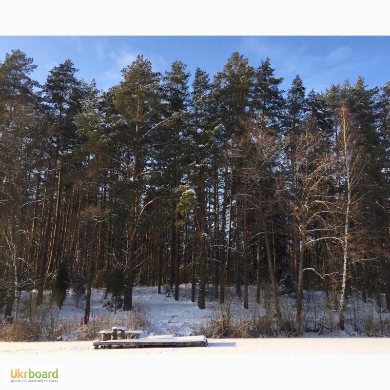 Фото 7. Продаю лесные участки на берегу озера в литовском курорте Друскининкай + ЗАО для ВНЖ в ЕС