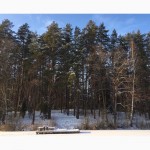 Продаю лесные участки на берегу озера в литовском курорте Друскининкай + ЗАО для ВНЖ в ЕС