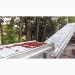 Оборудование для переработки овощей и ягод