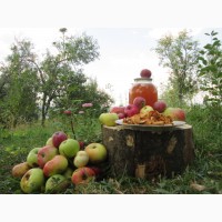 Яблоки сухие сухофрукты сушка домашняя натур эко без термо