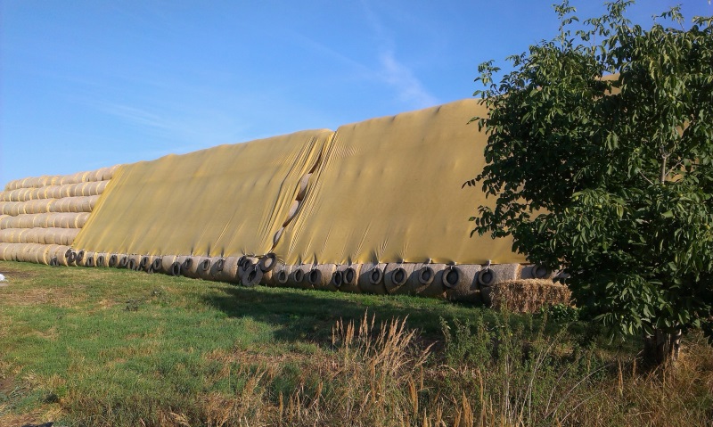 Фото 9. Тент-агроволокно флис. для укрытия соломы, сена, льна, зерна, картофеля, щепы и т.д