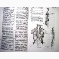 Карманный атлас анатомии человека на основе Международной номенклатуры 1998 Фениш Ханц
