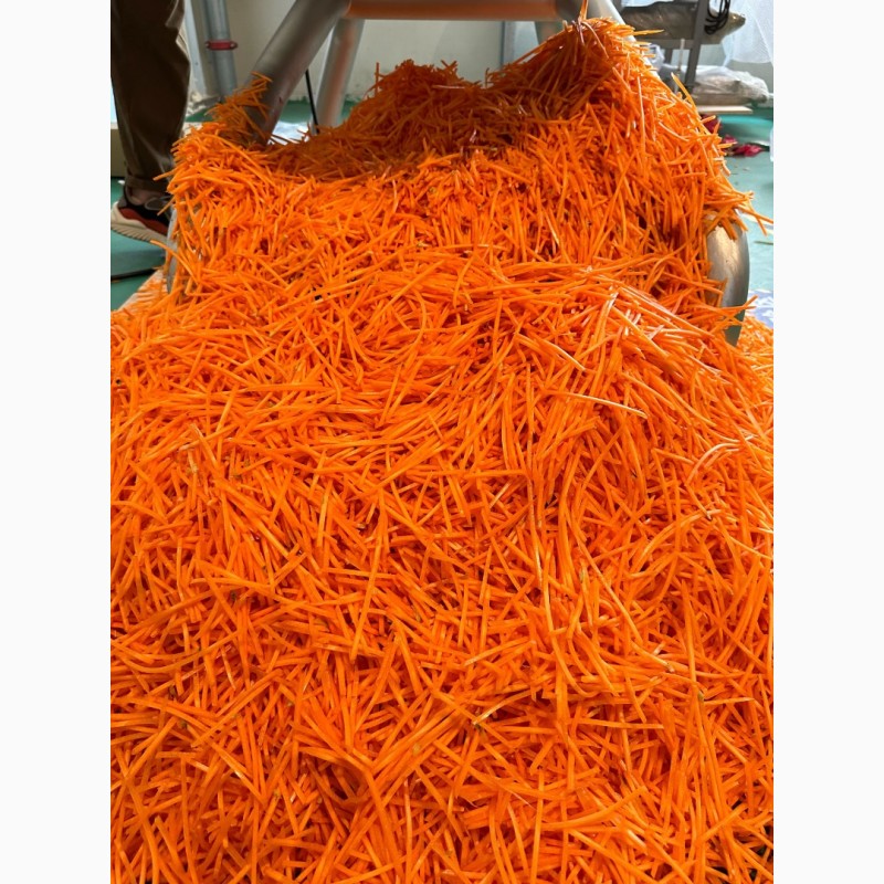 Фото 14. Промислова овочерізка STvega Strip Slicer H3000 для нарізки моркви по-корейськи