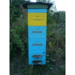 Продам пасеку: отводки, пчелосемьи в Харькове, сушь, ульи