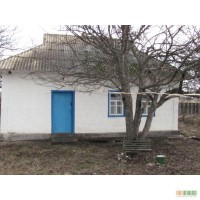 Предлагается к продаже дом в с. Боровица Чигиринского района