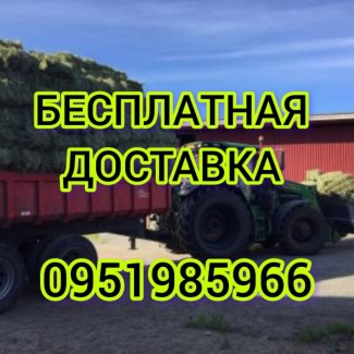 Продажа сена различных видов с доставкой по Украине. Производитель
