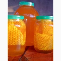 Мёд подсолнечный с сотами 2018
