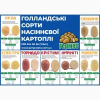 Продам семеной картофель от поставщика