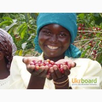Ароматна натуральна кава 100% Арабіка (Камерун) (зелена та смажена). ОПТОМ
