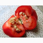 Семена перца комнатного декоративного Колокольчик - 6 сортов