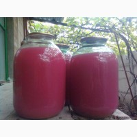Ягоды Виноград Лидия Розовая, Изабелла 100 - 150 кг. или чистый 100% сок