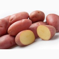 Картопля столова: мішок 25кг