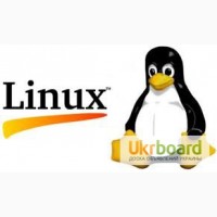 Курсы Администрирование Linux (Ubuntu)