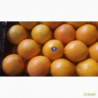 Продам оптом Апельсин Турция