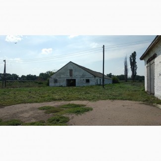 Продам свиноферму в єрках (10 км від Миргорода)