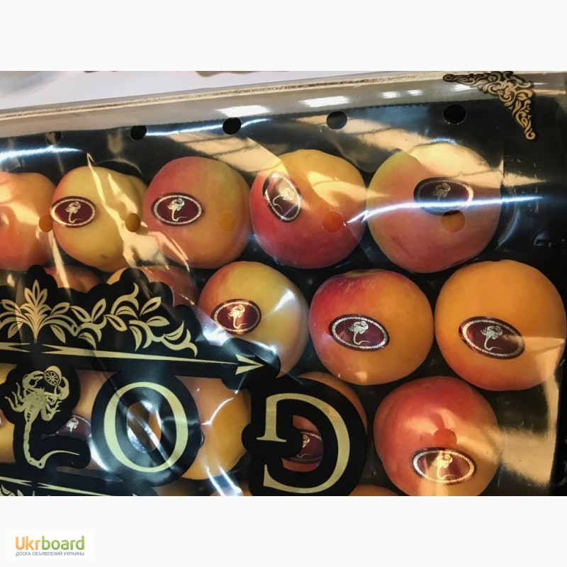 Фото 6. Продаем абрикосы из Испании