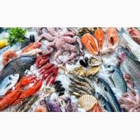 Камера хранения морепродуктов