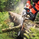 Работа для мужчин на лесозаготовках в Чехии