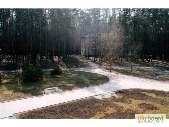 Фото 6. Продается уникальный санаторный комплекс в 10 км от г. Черкассы, в лесу на берегу Днепра