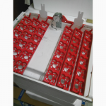 Инкубатор ИБ ЭВМ - 4 (от 42, 64, 72, 128 яиц в закладке)
