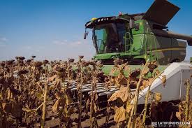 Фото 10. Куплю оптом подсолнечник масличный.Новый урожай 2020 года