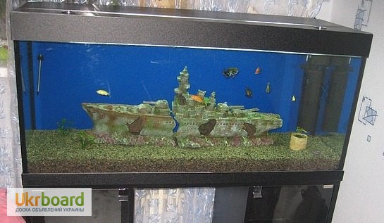 Фото 4. Купить аквариум
