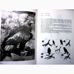 Герцег А.Б. Охота в иллюстрациях. 2-е изд. 1984г