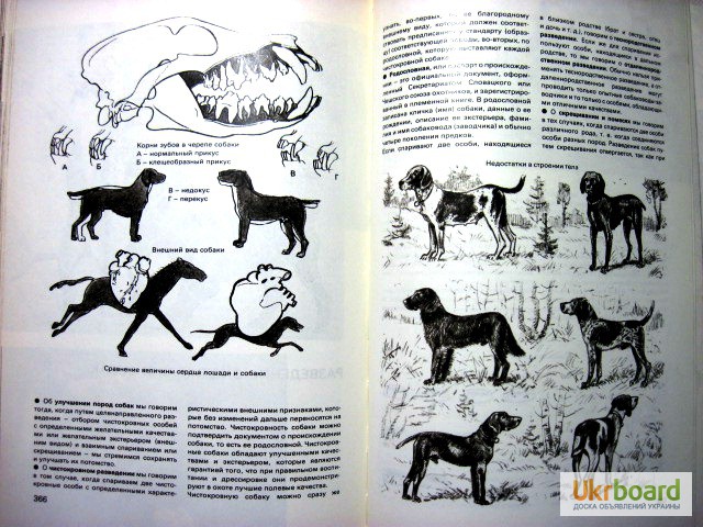 Фото 14. Герцег А.Б. Охота в иллюстрациях. 2-е изд. 1984г