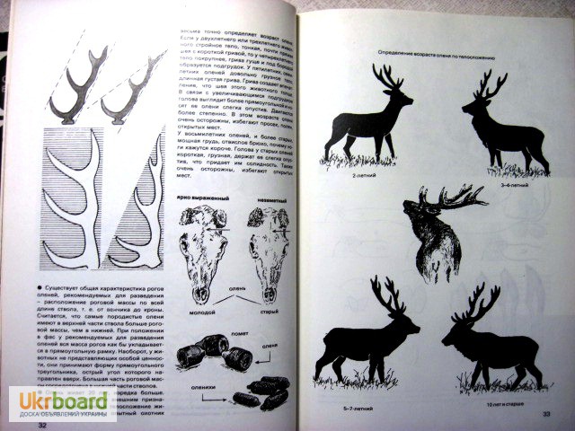 Фото 6. Герцег А.Б. Охота в иллюстрациях. 2-е изд. 1984г