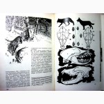 Герцег А.Б. Охота в иллюстрациях. 2-е изд. 1984г