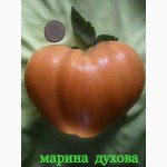 Семена редких сортов томатов