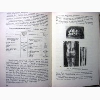 Рациональное питание 1957 Брейтбург потребности человека в пищевых веществах, хим процессы