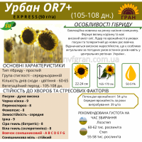 Насіння соняшника гібрид - ЄВРО (clearfield) 100-105 днів