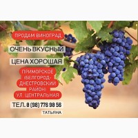 Продам виноград недорого