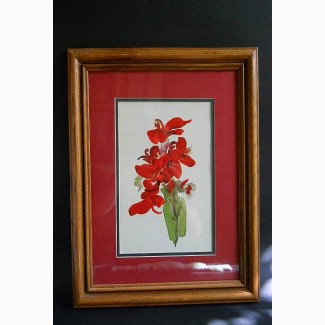 Винтажная картина красный цветок в вазе