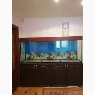 Продам новий акваріум об#039;ємом 850л для морських риб та каралів