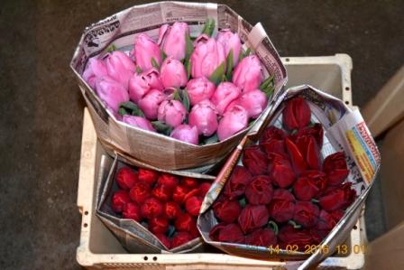 Фото 7. Тюльпаны оптом на 8 марта