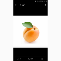 Куплю абрикос