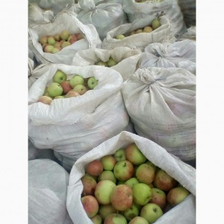Закупаем яблоки на переработку на соки от 20 тонн