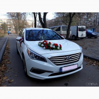 Аренда авто Hyundai Sonata в Харькове