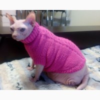 Вязаный свитер для сфинкса или собаки