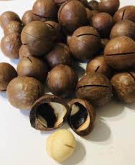 Орех макадамия в скорлупе, 1кг, орехи