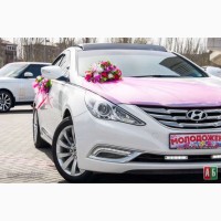 Авто на свадьбу (Mercedes Sprinter, Sonata YF, Vito) Самые низкие цены